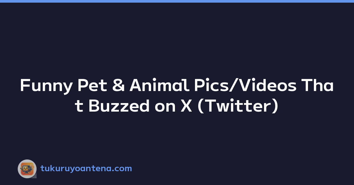 Funny Pet & Animal Pics/Videos That Buzzed on X (Twitter)