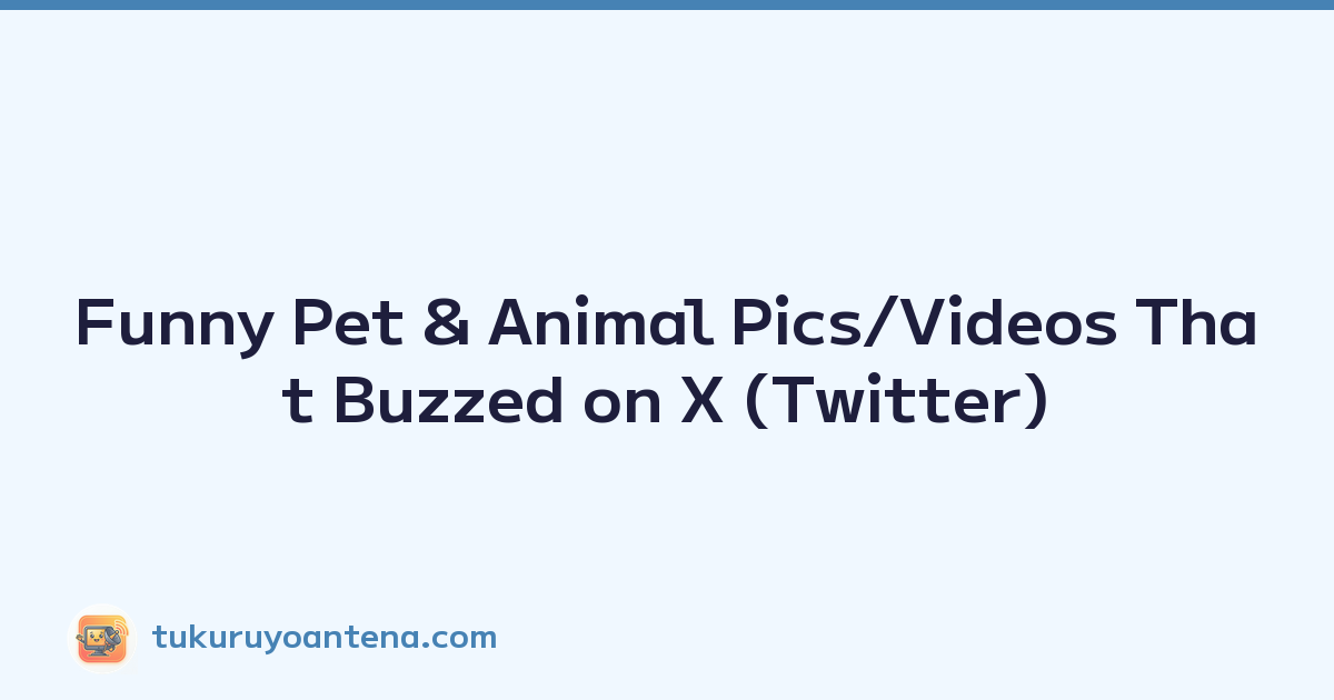 Funny Pet & Animal Pics/Videos That Buzzed on X (Twitter)