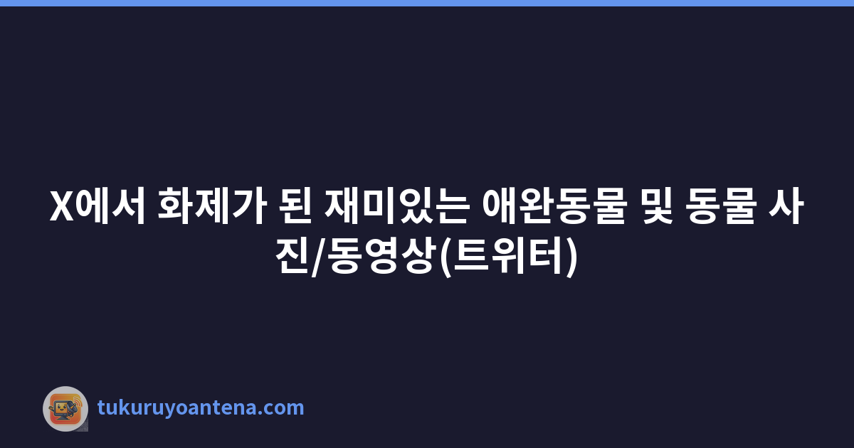 X에서 화제가 된 재미있는 애완동물 및 동물 사진/동영상(트위터)