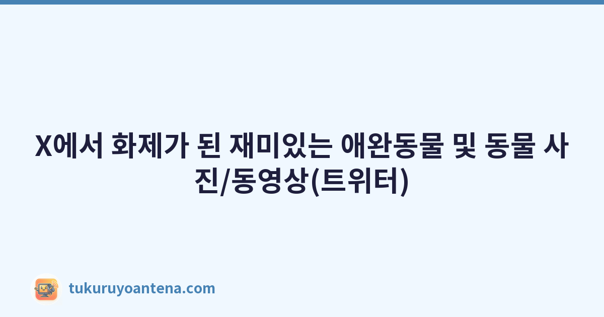 X에서 화제가 된 재미있는 애완동물 및 동물 사진/동영상(트위터)