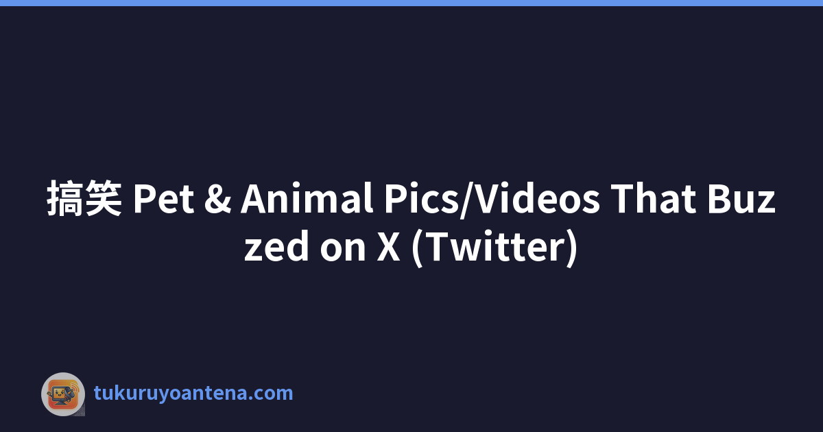 搞笑 Pet & Animal Pics/Videos That Buzzed on X (Twitter)