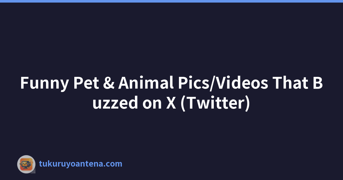 X 上熱議的有趣寵物和動物圖片/影片（Twitter）