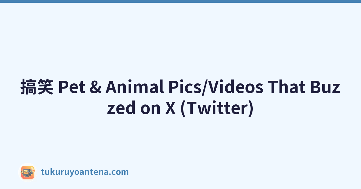 搞笑 Pet & Animal Pics/Videos That Buzzed on X (Twitter)