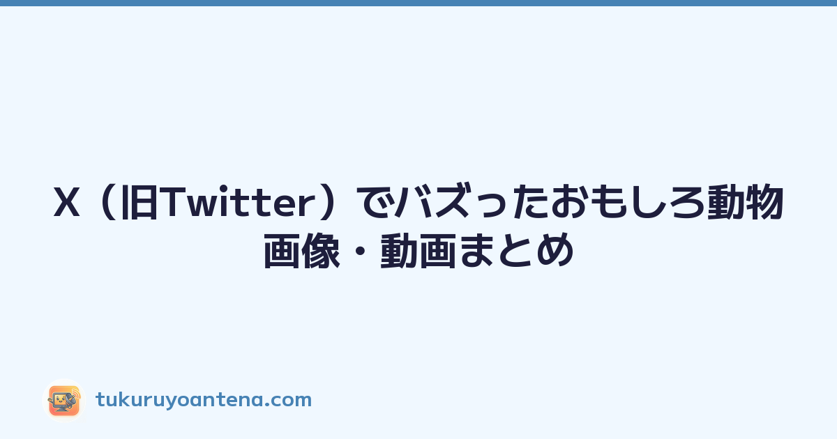 X（旧Twitter）でバズったおもしろ動物画像・動画まとめ